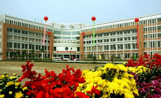 山东专科学校排名公办（山东最好的专科院校）