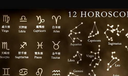 怎么样才能知道自己的星座,怎么才能知道自己星座? 怎么样才能知道自己的星座,怎么才能知道自己星座?