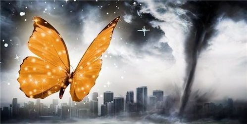 蝴蝶效应(蝴蝶效应3) 蝴蝶效应(蝴蝶效应3)