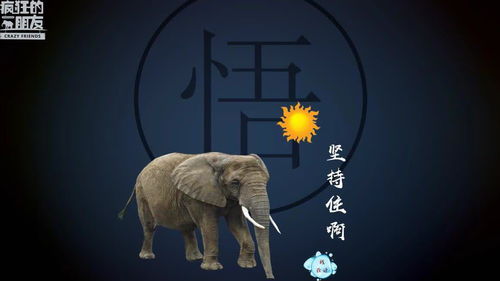 水象喜欢风象还是火象，水象总喜欢土象