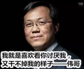 100首让人笑死的歌(让人一听就笑喷的歌) 100首让人笑死的歌(让人一听就笑喷的歌)