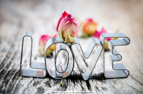 合盘看婚姻免费,合盘看感情准吗 合盘看婚姻免费,合盘看感情准吗