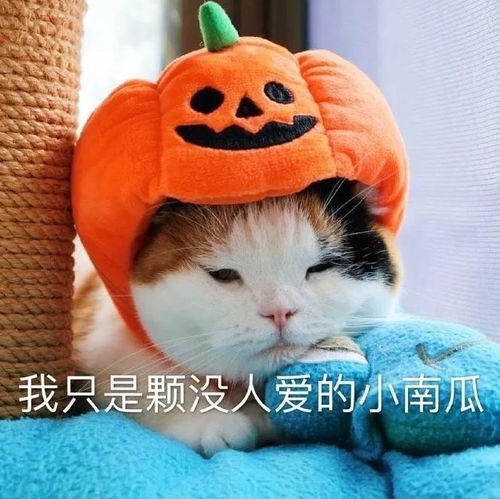 男友你小兔兔是啥意思(男朋友说小兔子) 男友你小兔兔是啥意思(男朋友说小兔子)