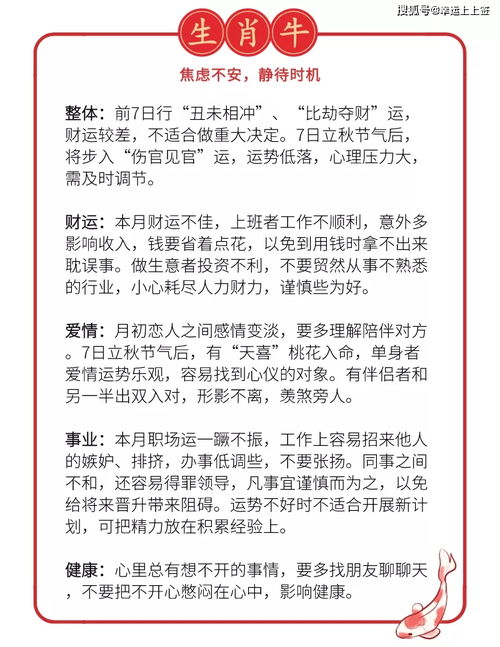 生肖今日运势查询,2025年运程十二生肖每月运程详解 生肖今日运势查询,2025年运程十二生肖每月运程详解
