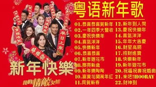 过年歌曲30首经典（过年歌曲30首经典网盘资源）