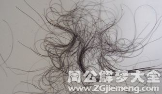 梦见掉头发原版周公解梦：梦见掉头发，原来是这些原因在提醒你