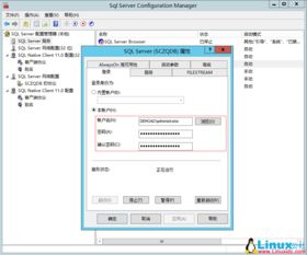 sql如何创建数据库:SQL创建数据库指南 sql如何创建数据库:SQL创建数据库指南