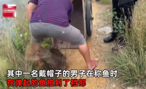 男人梦到屎拉到内裤里：男人梦到屎拉到内裤里，尴尬梦境背后的隐藏心理