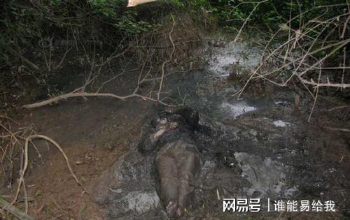 梦见做坟墓是什么预兆：梦里筑坟，解密那些关于死亡与新生的隐喻