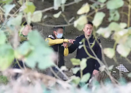 梦见死去的亲人出殡：梦见死去的亲人出殡，为何我们无法摆脱的思念与恐惧