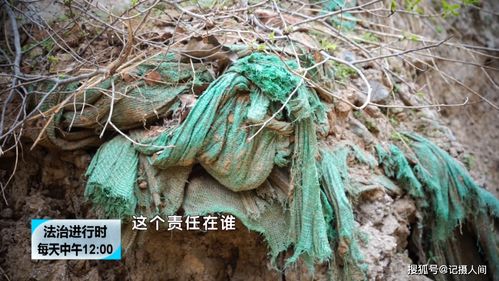 梦见蛆虫满地满屋子：幽暗梦境，当蛆虫占领你的世界