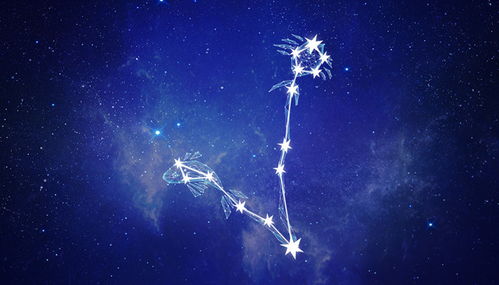 2022运势好到爆的星座：2022运势开挂式爆发！这6个星座将逆天改命，事业爱情双丰收