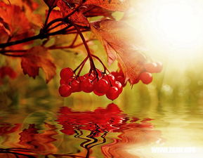 梦死人复活之解梦:梦死人复活之解梦,潜意识中的情感与象征 梦死人复活之解梦:梦死人复活之解梦,潜意识中的情感与象征