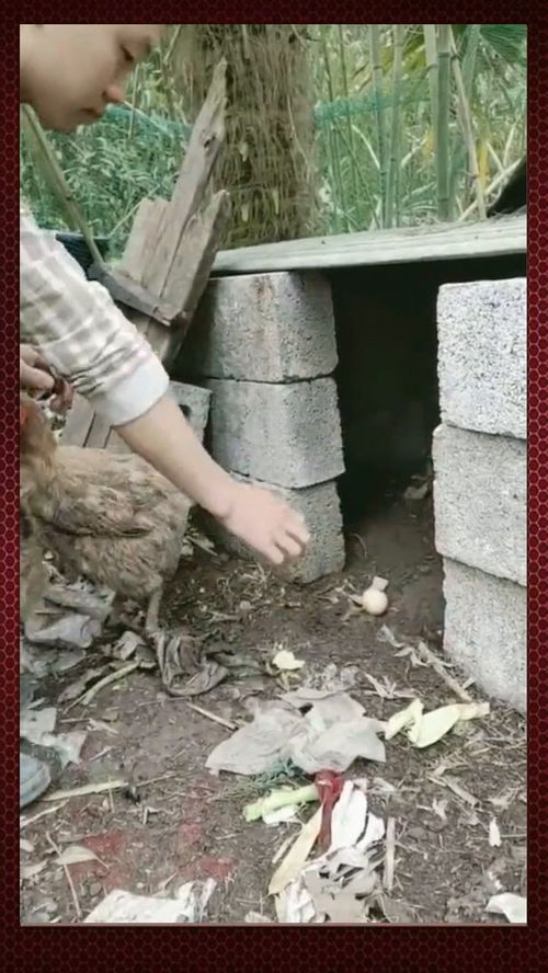 梦见在别人家拉屎：梦里闯入别人的身体领地，一场尴尬与隐喻的双重体验