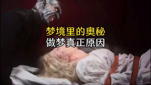 做梦梦见杀猪：解密梦境，为何会梦见杀猪？