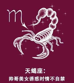 天蝎座男人喜欢什么样的女人:解码天蝎座男人的情感密码,深情的灵魂伴侣与神秘吸引力并存 天蝎座男人喜欢什么样的女人:解码天蝎座男人的情感密码,深情的灵魂伴侣与神秘吸引力并存