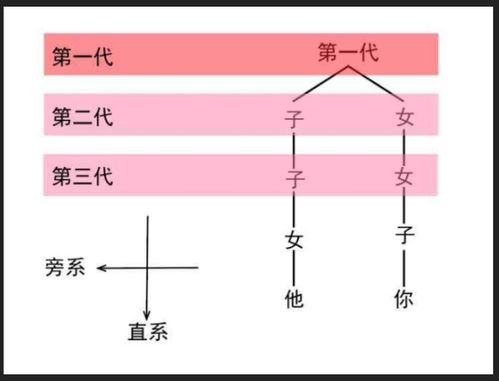 配对：配对，关系的基石与平衡的艺术