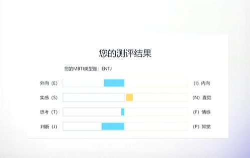 生肖匹配度测试：2024年生肖匹配度测试，揭秘你的爱情与事业最佳搭档