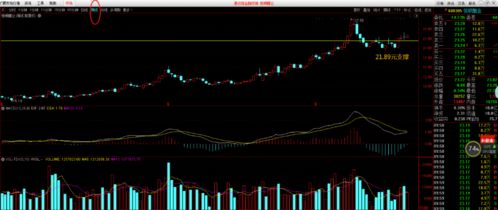 光伏股早盘部分走高 福莱特玻璃涨超7%新特能源涨超4% 光伏股早盘部分走高 福莱特玻璃涨超7%新特能源涨超4%