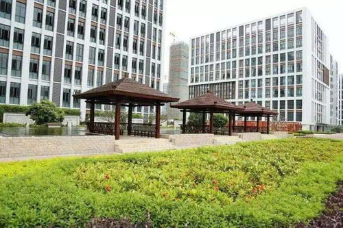 一年级编程是学些什么东西:编程初体验,一年级孩子学些什么? 一年级编程是学些什么东西:编程初体验,一年级孩子学些什么?