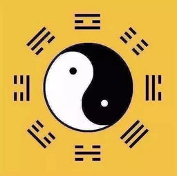 伏羲八卦免费算命：伏羲八卦免费算命，解码千年智慧，开启你的命理新视角