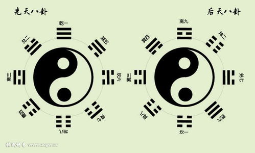 伏羲八卦免费算命：伏羲八卦免费算命，解码千年智慧，开启你的命理新视角