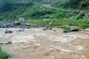 梦见浑水是什么意思：梦见浑水是什么意思？解析梦境中的水意象