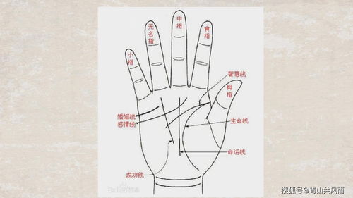男人左手手相图解:男人左手手相图解,掌纹命运密码与事业健康全解析(附典型手型对照) 男人左手手相图解:男人左手手相图解,掌纹命运密码与事业健康全解析(附典型手型对照)