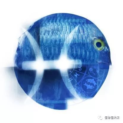 为什么说双鱼男可怕：双鱼男为何被贴上温柔陷阱的标签？解码星座背后的情感暗涌