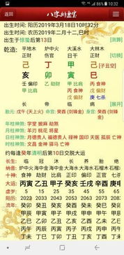 八字排盘元亨利贞网免费算命：八字排盘元亨利贞网免费算命指南，精准测算人生运势与命运密码