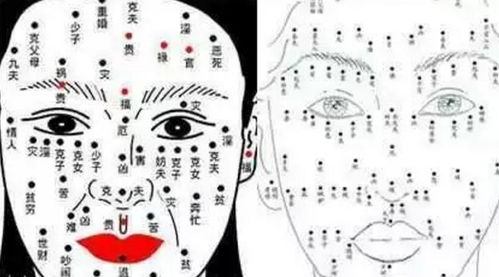 面部风水痣图解大全：面部风水痣图解大全，从面相学看痣的位置与运势解析（附吉凶对照图）