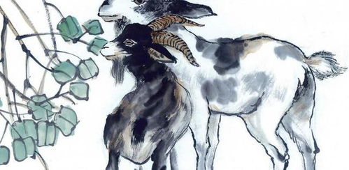 白羊男的性格是什么样子:白羊男,炽热与坚韧并存的生命力图鉴 白羊男的性格是什么样子:白羊男,炽热与坚韧并存的生命力图鉴