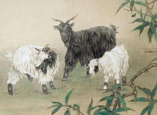 白羊男的性格是什么样子:白羊男,炽热与坚韧并存的生命力图鉴 白羊男的性格是什么样子:白羊男,炽热与坚韧并存的生命力图鉴