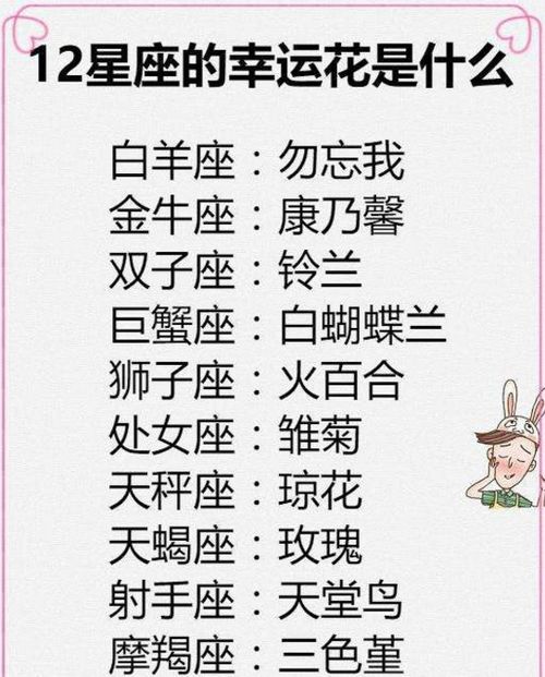 所有星座都败给了天秤的佛系：天秤座，以佛系之道，降服十二星座的焦虑