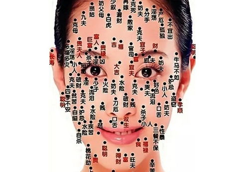 男面相痣的图片大全详解:男面相痣的解析,从位置到运势的全面指南(附典型图片特征) 男面相痣的图片大全详解:男面相痣的解析,从位置到运势的全面指南(附典型图片特征)