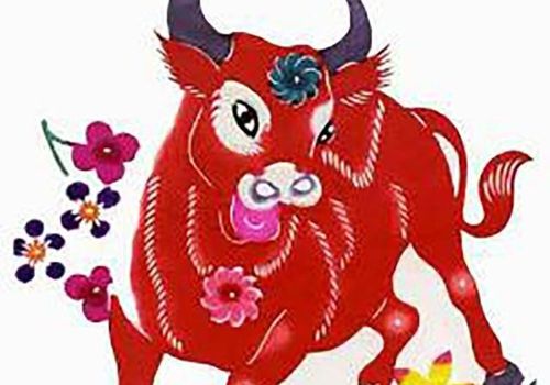 1985年12月属牛是什么命：1985年12月属牛人命运解析，从生肖特质到时代机遇的成长指南