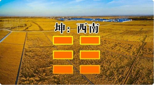 国际易经网：国际易经网，架设东西方智慧桥梁，传承中华文明瑰宝