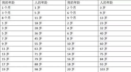 1976年多大：1976年出生者现年多少岁？历史与年龄计算全解析