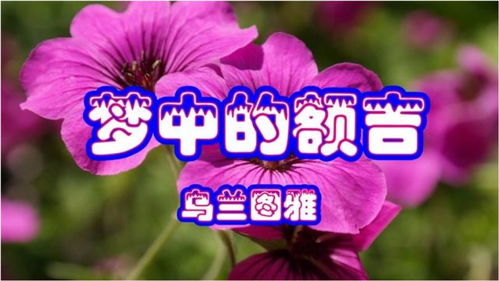 草原最好听的十首歌曲(草原情歌十五首) 草原最好听的十首歌曲(草原情歌十五首)