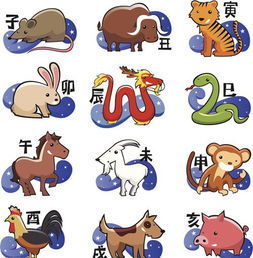二生肖十二生肖:二生肖十二生肖,从双数寓意到十二轮回的文化密码 二生肖十二生肖:二生肖十二生肖,从双数寓意到十二轮回的文化密码