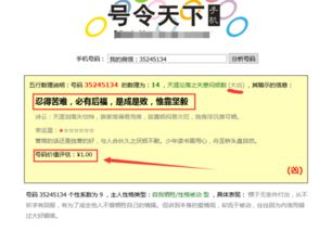号码测吉凶查询号令天下:号码测吉凶查询,号令天下的智慧密码与当代应用 号码测吉凶查询号令天下:号码测吉凶查询,号令天下的智慧密码与当代应用