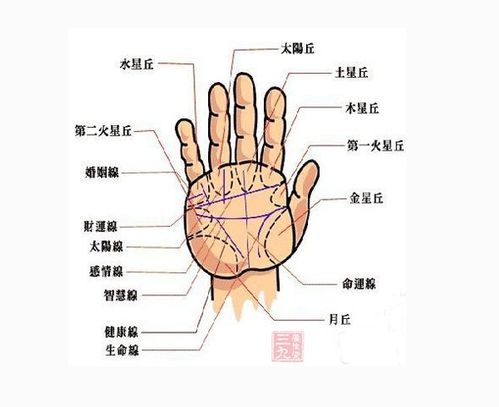 女人断掌手相图解：女性断掌手相图解，从传统玄学到现代解读的全方位解析