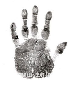 女人断掌手相图解：女性断掌手相图解，从传统玄学到现代解读的全方位解析