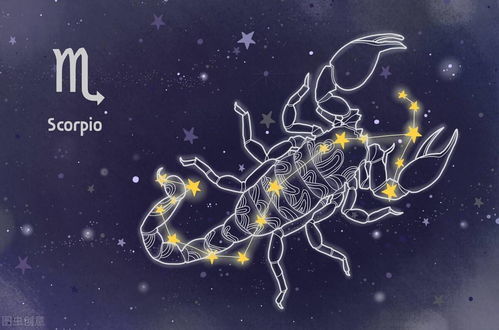 巨蟹座上升星座：巨蟹座上升星座，月光织就的温柔世界，矛盾与治愈的共生体