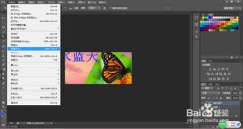 photoshopcs17破解版(破解版ps2017) photoshopcs17破解版(破解版ps2017)