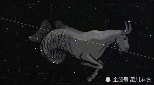 10月到11月是什么星座:10月至11月,天秤座与射手座的魅力交织,运势与情感全解析 10月到11月是什么星座:10月至11月,天秤座与射手座的魅力交织,运势与情感全解析