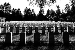 女人梦见好多坟墓是什么意思:梦里看到众多坟墓,这些预示可能藏不住了! 女人梦见好多坟墓是什么意思:梦里看到众多坟墓,这些预示可能藏不住了!