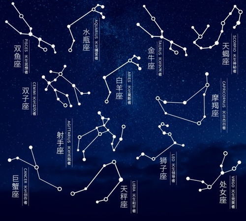 星座屋查询精准星座：星座屋查询精准星座，大数据+心理学双引擎解析你的星盘奥秘