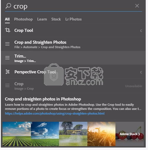 photoshop破解版2020(photoshop破解版官网) photoshop破解版2020(photoshop破解版官网)