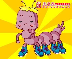 周公解梦梦见蜈蚣：周公解梦，梦见蜈蚣，是预示危险还是内心隐喻？